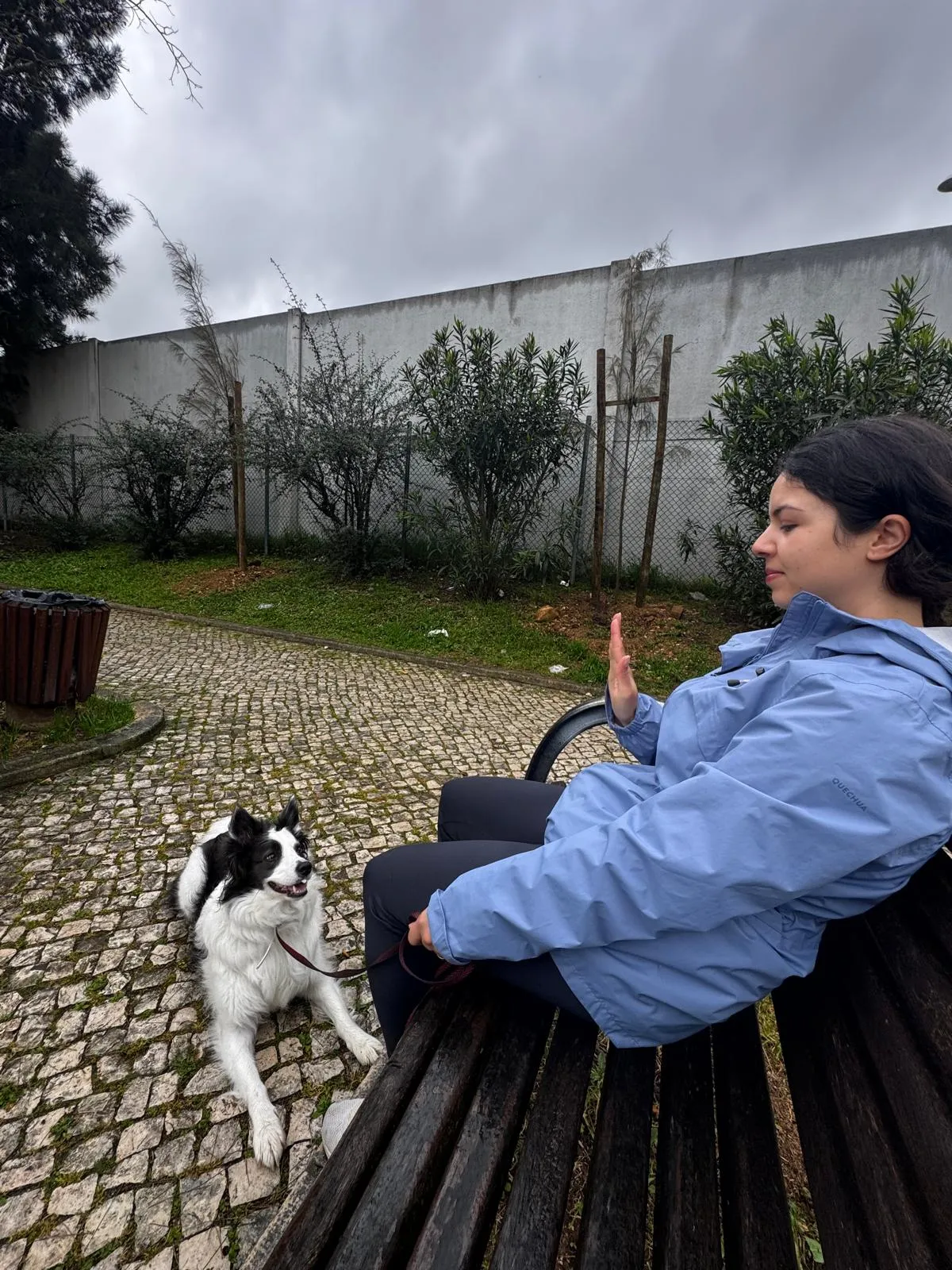 Trabalho com Cães
