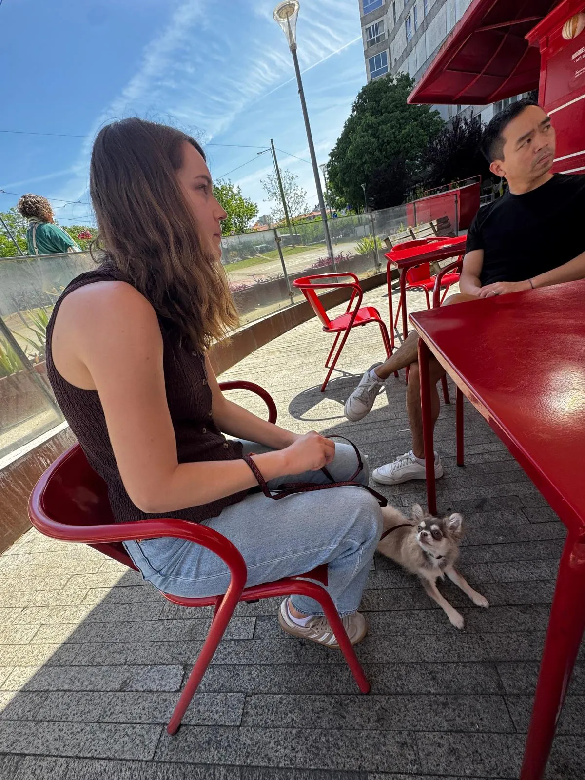 Trabalho com Cães