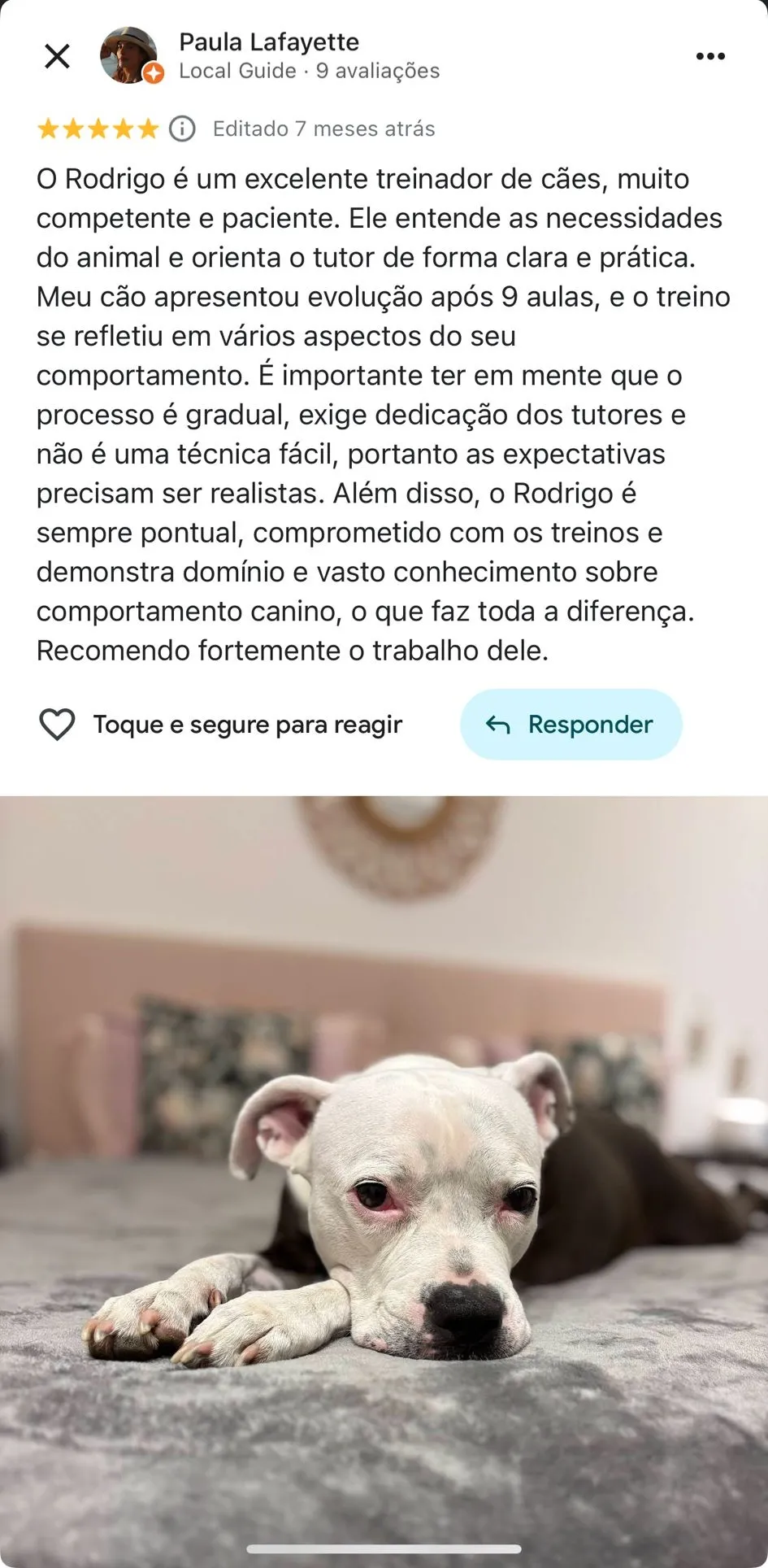 Depoimento 8
