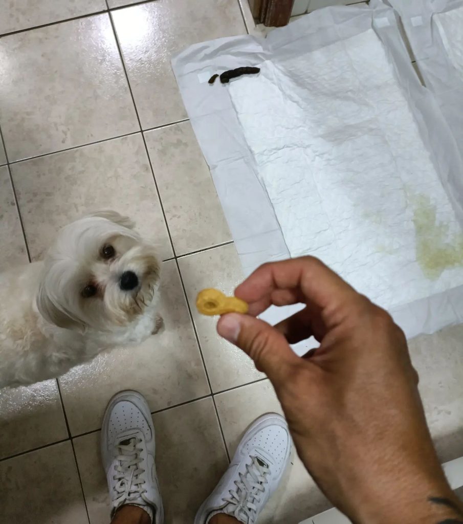 274813424_4823472197778844_4790036411347067009_n