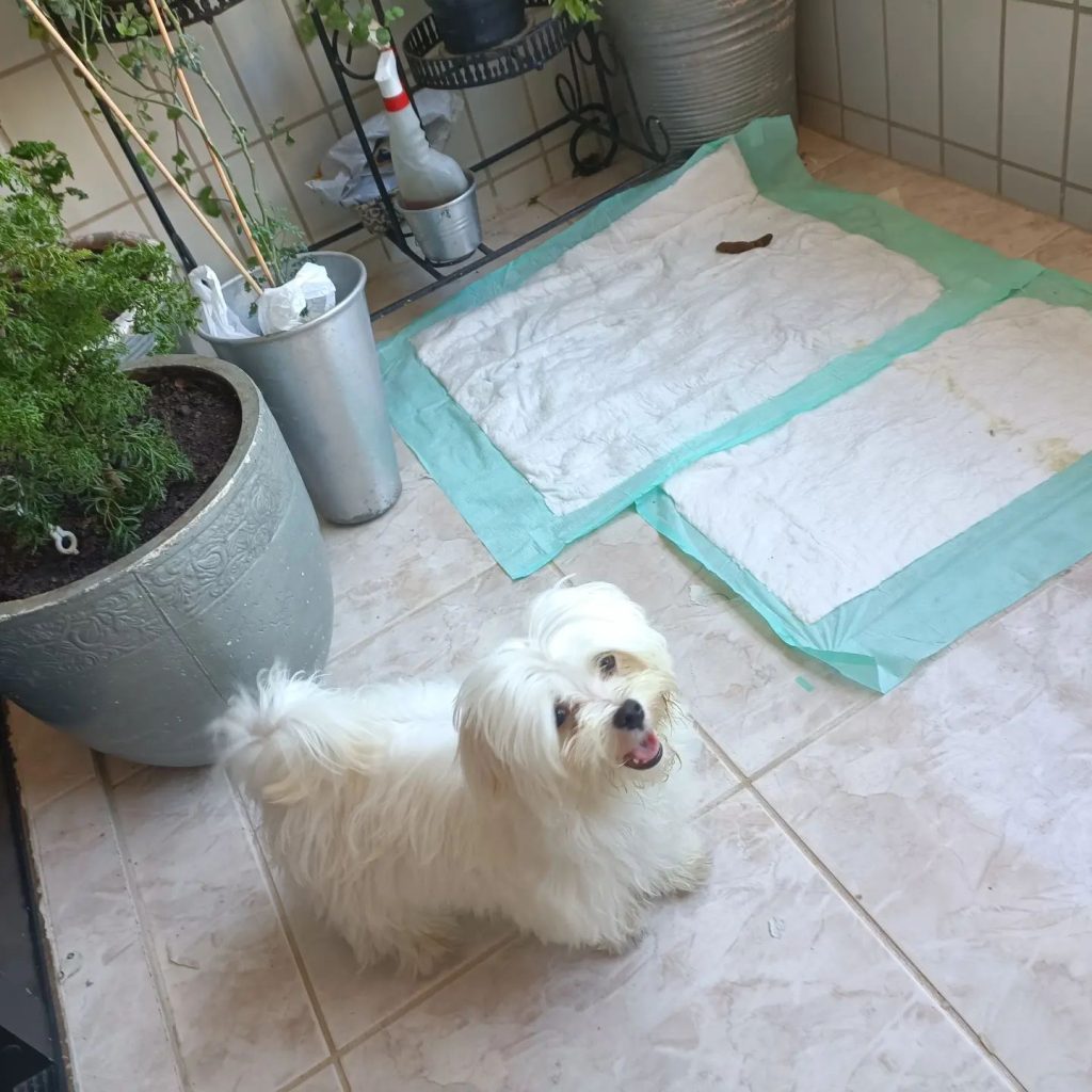 280383478_5022156377910424_7241536994663830418_n