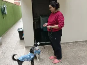 Hund Dog - Cliente com resultado