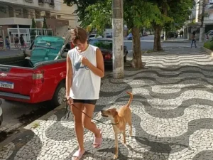 Hund Dog - Cliente com resultado