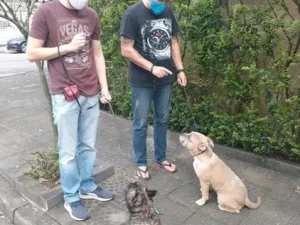 Hund Dog - Cliente com resultado