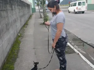 Hund Dog - Cliente com resultado