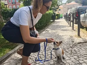 Hund Dog - Cliente com resultado