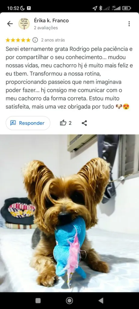 Hund Dog - Avaliação cliente