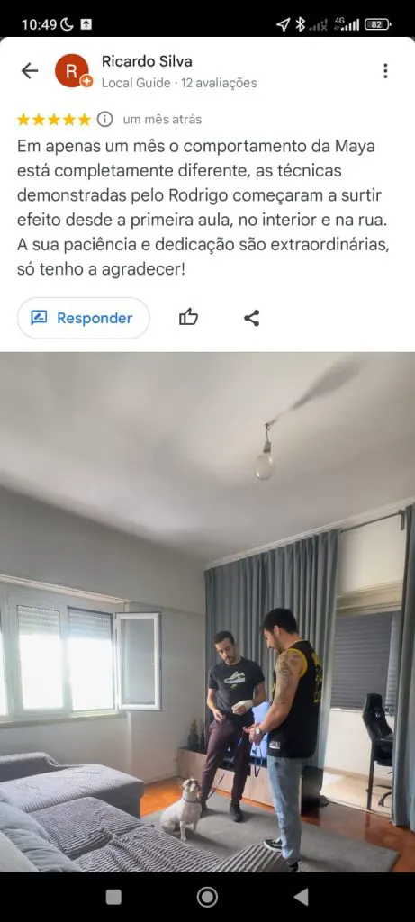 Hund Dog - Avaliação cliente