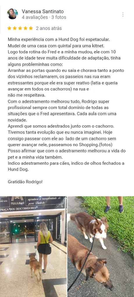 Hund Dog - Avaliação cliente