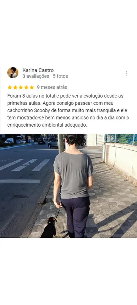 Hund Dog - Avaliação cliente