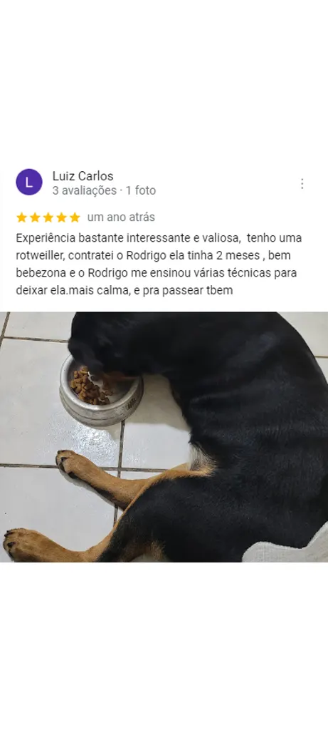 Hund Dog - Avaliação cliente