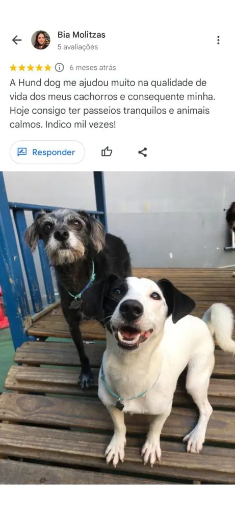 Hund Dog - Avaliação cliente