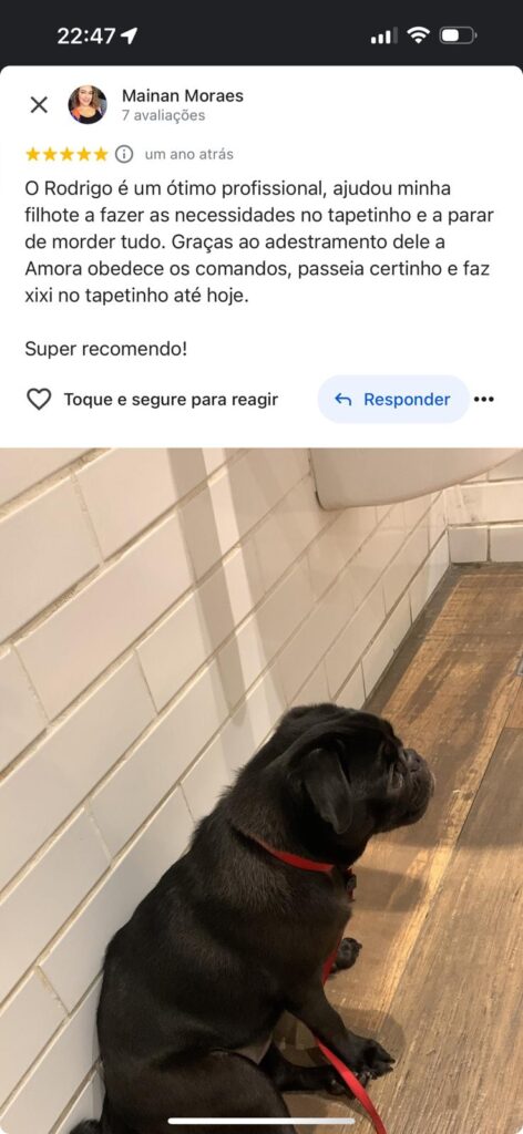 WhatsApp Image 2024-10-22 at 19.09.42