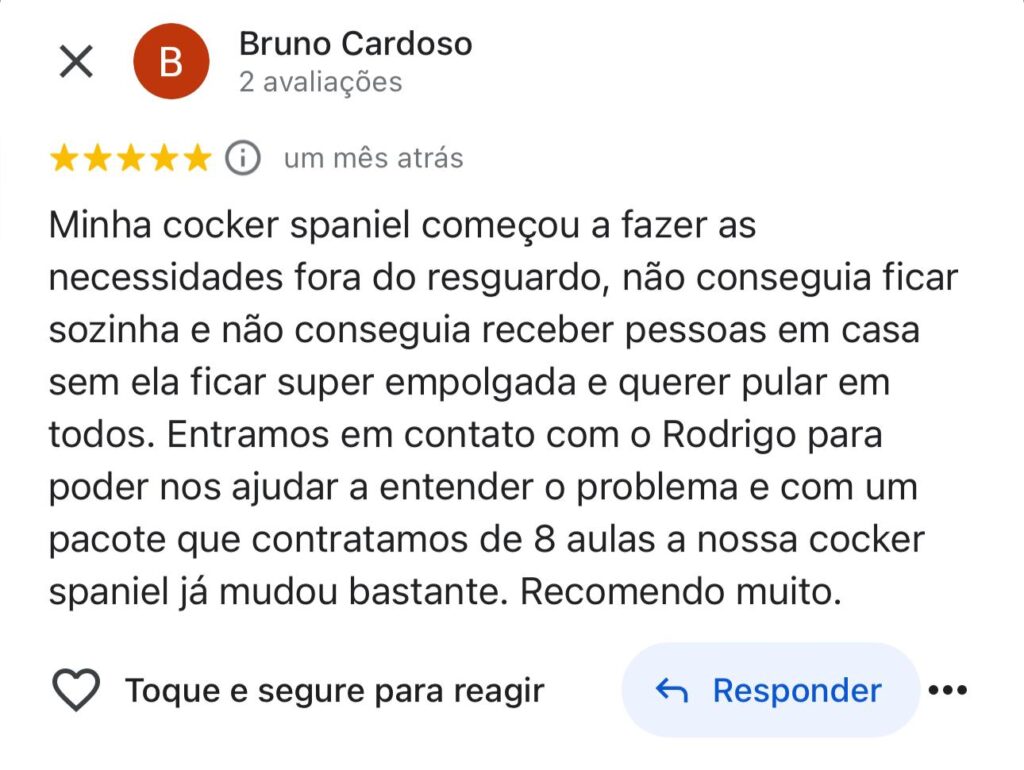 WhatsApp Image 2024-10-22 at 19.09.44