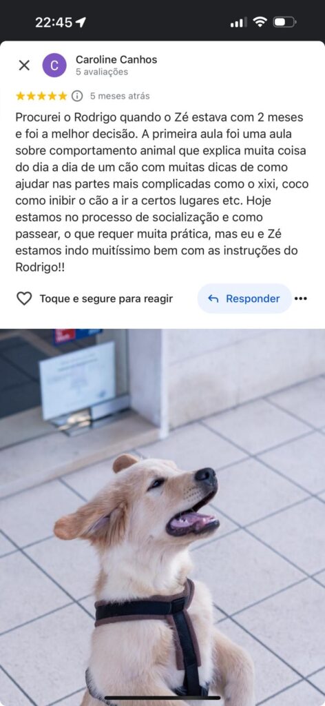 WhatsApp Image 2024-10-22 at 19.09.44 (2)