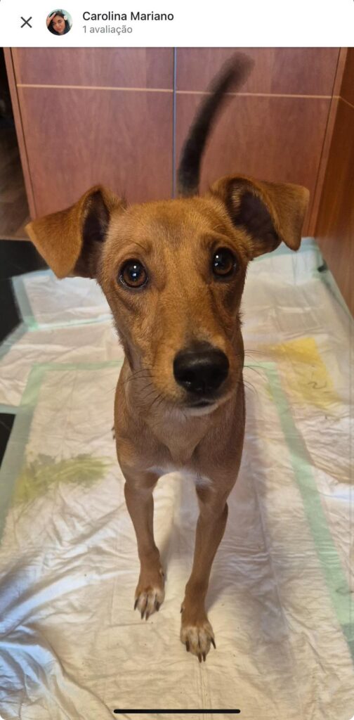 WhatsApp Image 2024-10-22 at 19.10.59