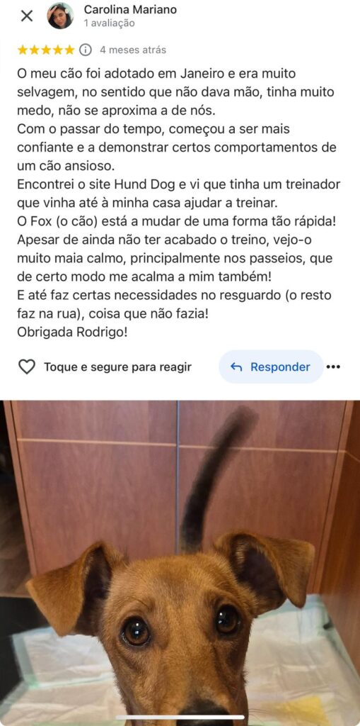 WhatsApp Image 2024-10-22 at 19.11.00